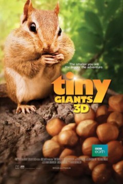 小巨人 3D