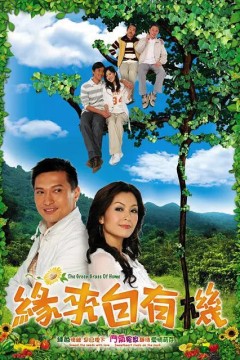 缘来自有机