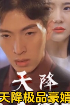天降极品豪婿