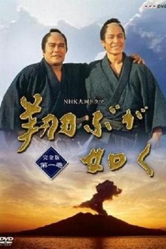 宛如飞翔