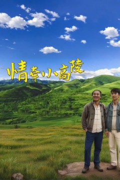 情牵小高陵