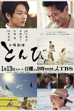 鸢2013