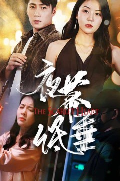 夜幕低垂短剧版