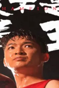 我不是拳王