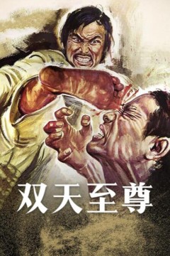 双天至尊