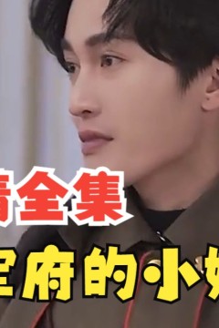 督军府的小娇妻