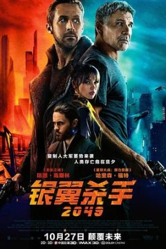 银翼杀手20494K