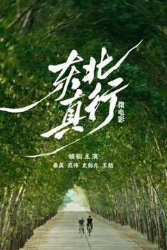 东北真行