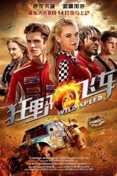 狂野飞车国语