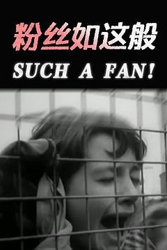 粉丝如这般