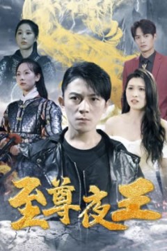 至尊夜王