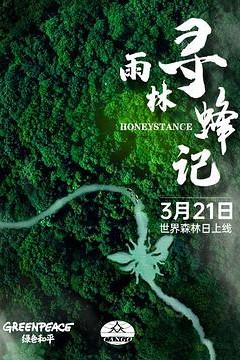 雨林寻蜂记