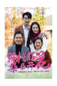 簕杜鹃花朵朵开