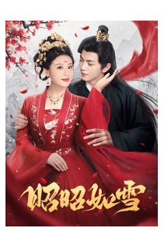 昭昭如雪
