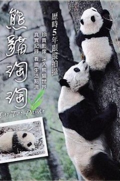 熊猫淘淘