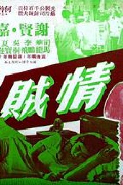 情贼粤语