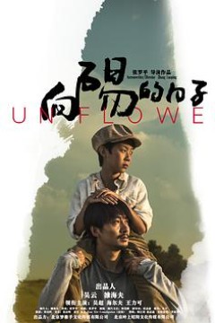 向阳的日子