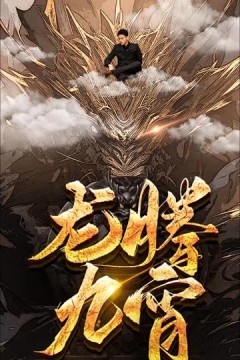 龙腾九宵