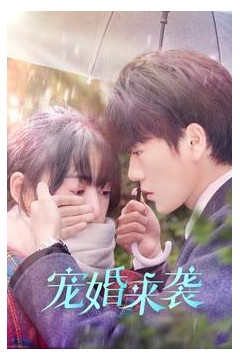 宠婚来袭