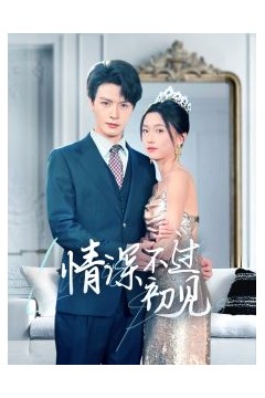 情深不过初见