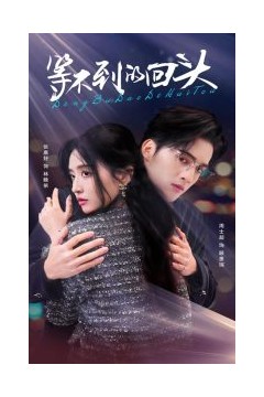 等不到的回头