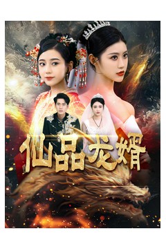 仙品龙婿