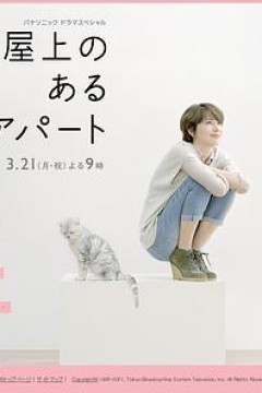屋顶的公寓