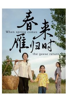 春来雁归时