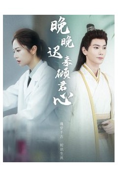 晚晚迟来倾君