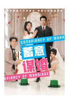 蓄意谋婚