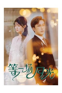 等一场月光
