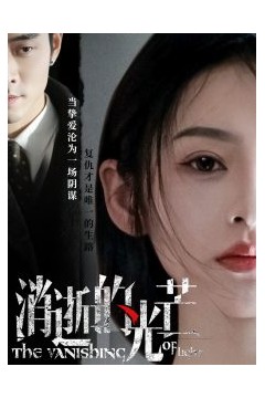 消逝的光芒