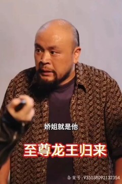 至尊龙王归来