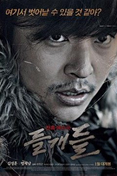 野狗们