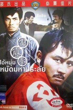 霹雳拳