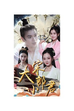 大宋小郎君