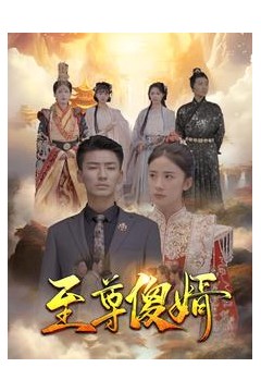 至尊傻婿