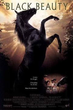 黑骏马1994