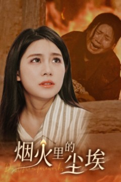 烟火里的尘埃
