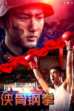 侠骨钢拳