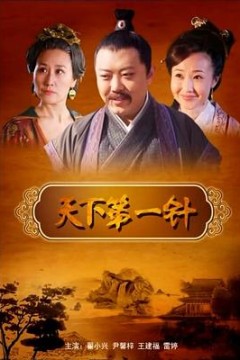 天下第一针