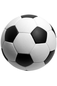 4月3日 23-24赛季英超第31轮 纽卡斯尔VS埃弗顿