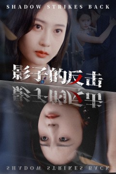 影子的反击