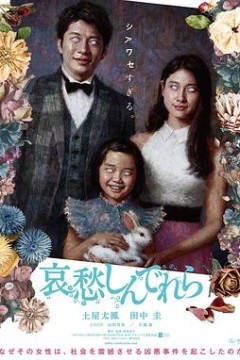 哀愁灰姑娘
