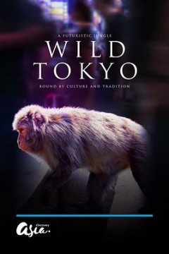 狂野东京