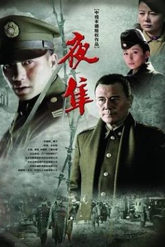 夜隼