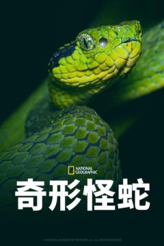 奇形怪蛇
