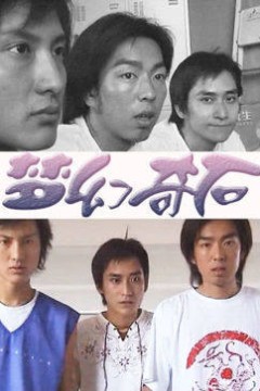 梦幻奇石