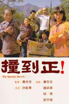 撞到正