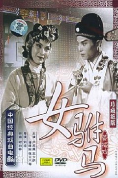 女驸马